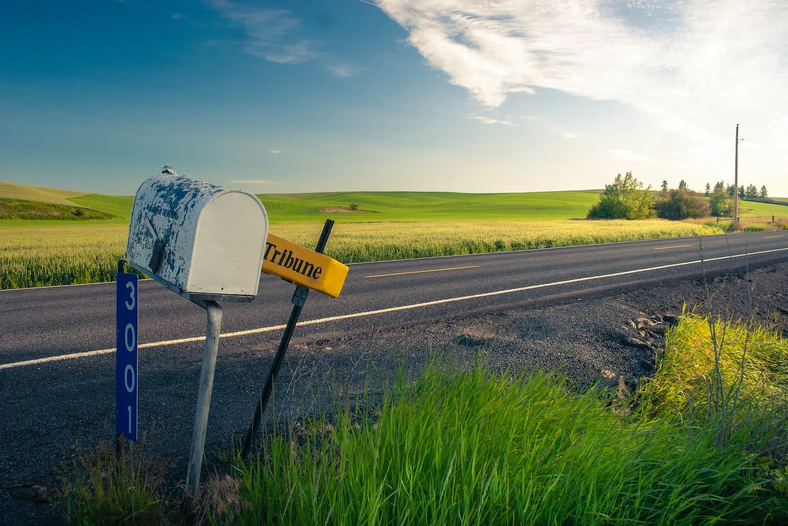 white and yellow road sign on green grass field under blue sky during daytime