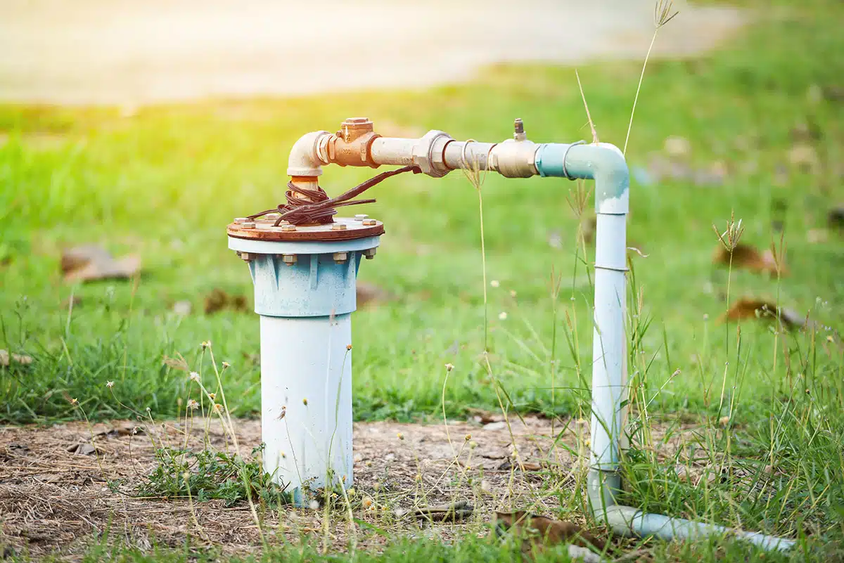 Comment choisir la bonne pompe à eau pour votre jardin Conseils des grandes marques et systèmes de relevage de l'eau de pluie