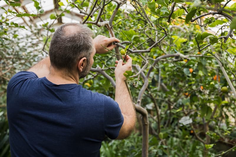 Vérification des branches