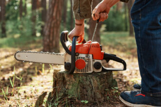 Élagage : comment choisir le bon professionnel pour ses arbres ?