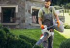 Entretien de jardin : pourquoi faire appel à un paysagiste à Angers ?