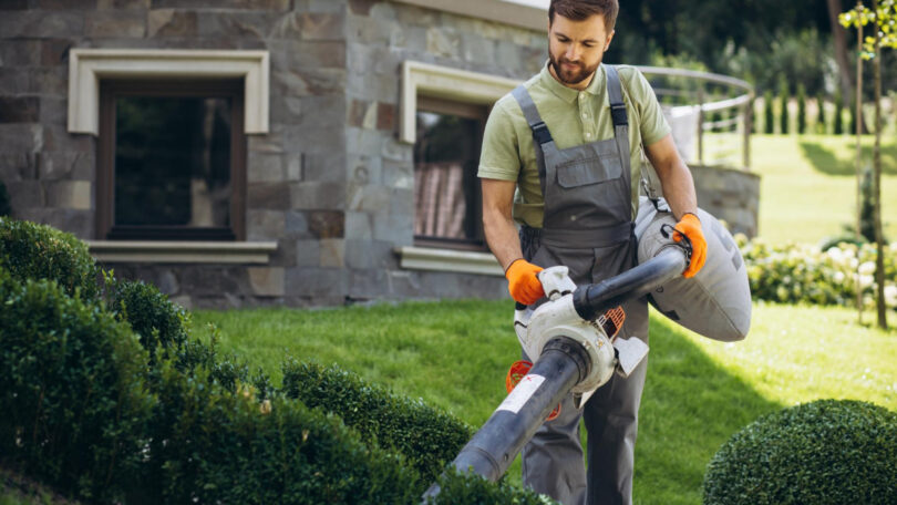 Entretien de jardin : pourquoi faire appel à un paysagiste à Angers ?