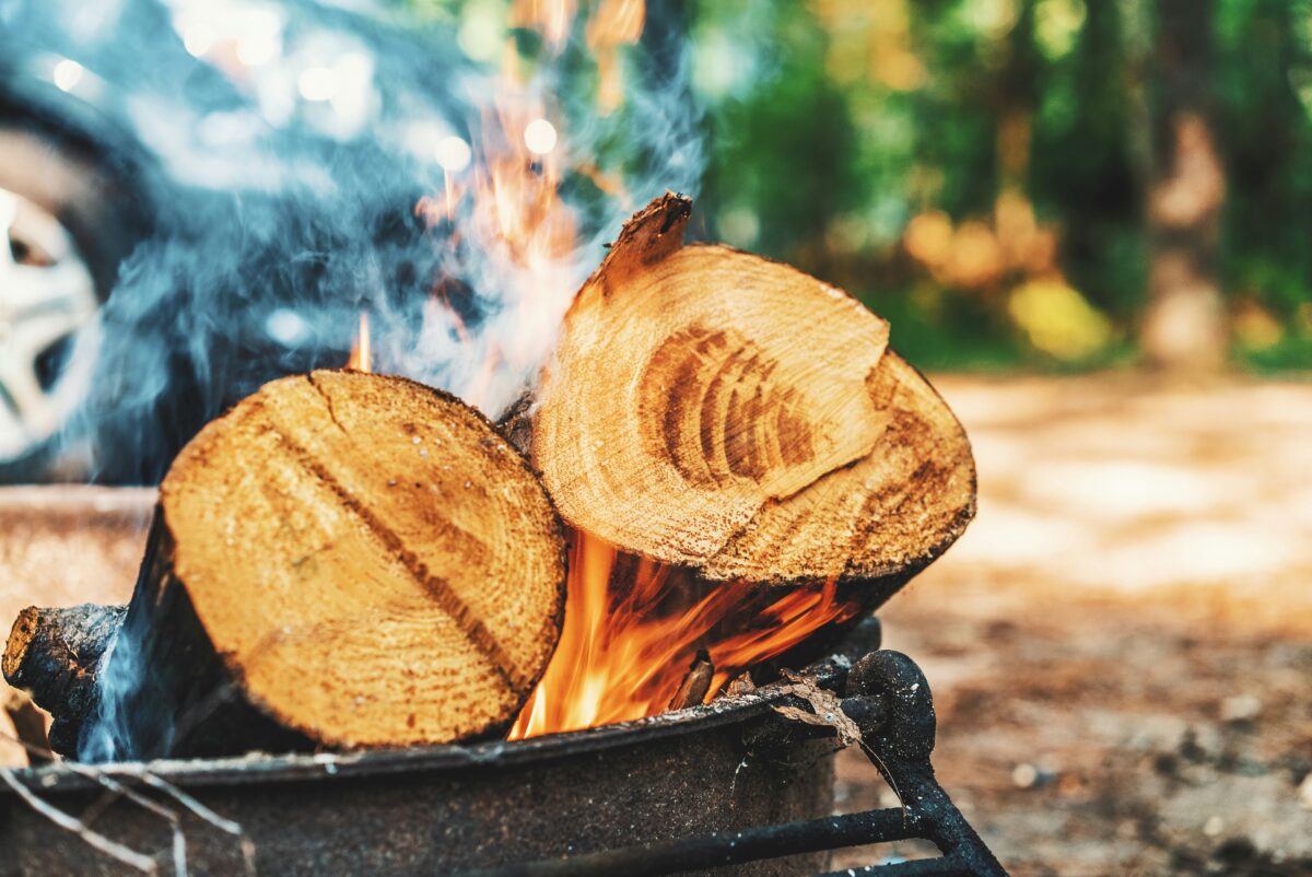 feu de bois