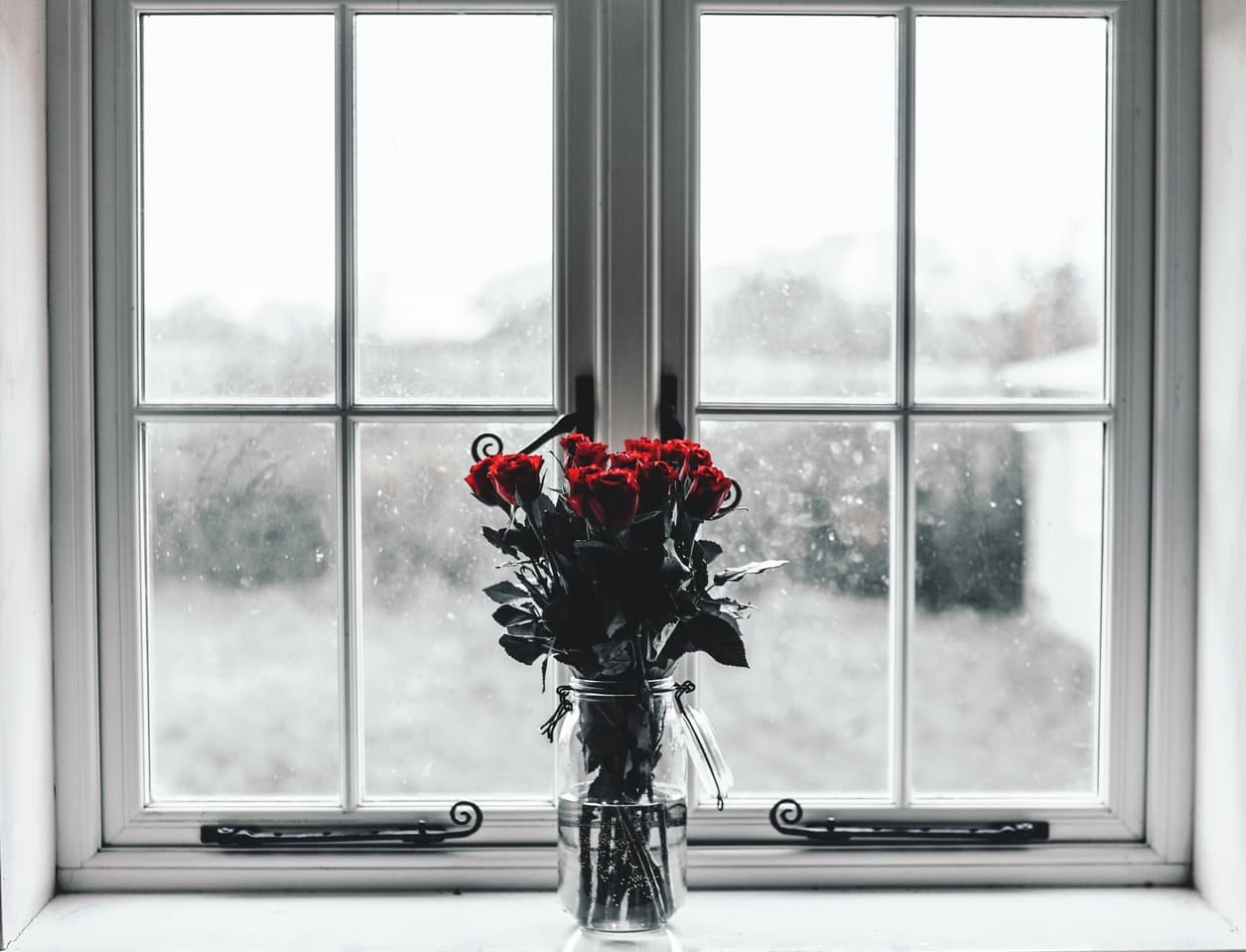 fleurs hiver