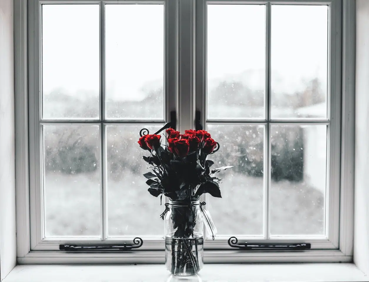 fleurs hiver