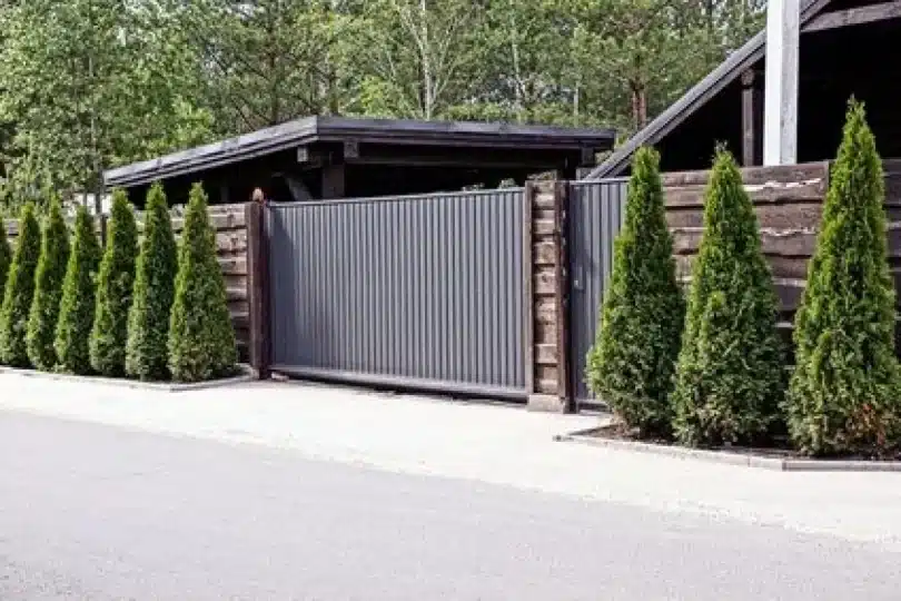 portail gris en aluminium sur une entrée de maison avec des sapins