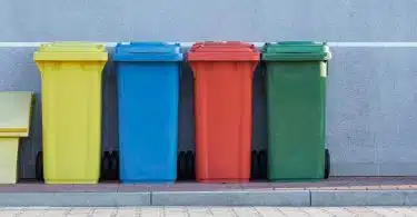 Comment dissimuler vos poubelles extérieures pour un jardin impeccable