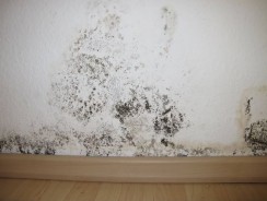 Comment masquer des traces d’humidité ?