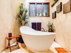 Comment le spa s’est démocratisé en France ?