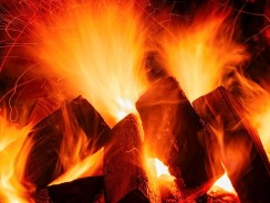 Bûches de bois compressé : tous les avantages