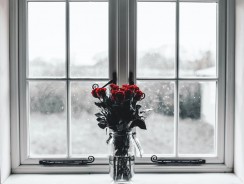 Comment décorer votre intérieur avec des fleurs d’hiver ?