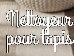 Quel nettoyeur vapeur pour tapis ?